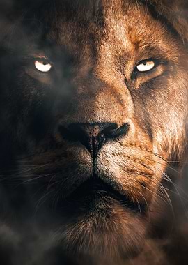 Lion Face