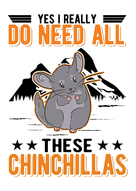 Chinchilla