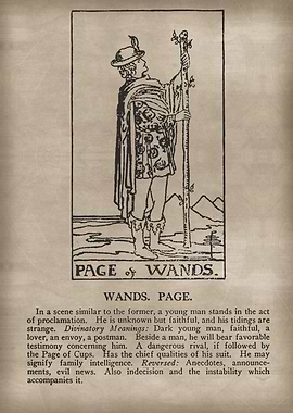 Page of Wands Tarot Card