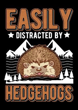 Distracted By Hedgehogs