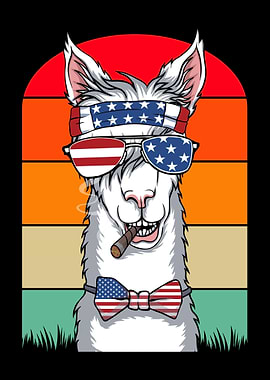 Llama USA 4th of July