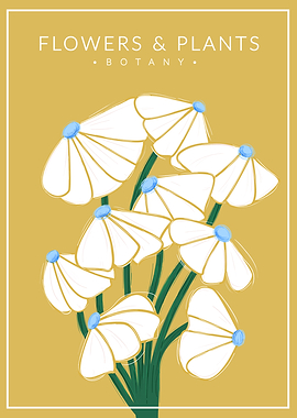 White Flowers Botany no1