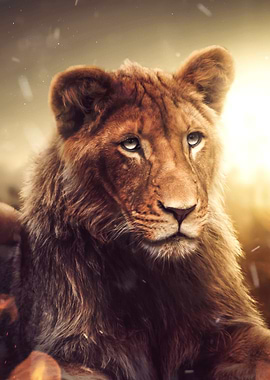 Lion Youth