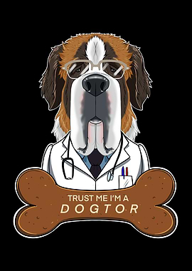 Veterinary Saint Bernard