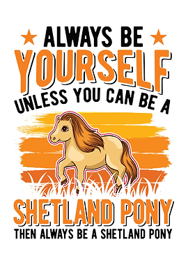 Shetland Pony Shetty