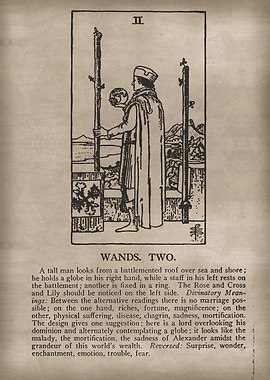 Wands Five Tarot Card