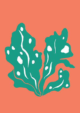 Underwater Green Seaweed