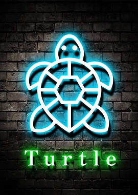 Animal Turtle