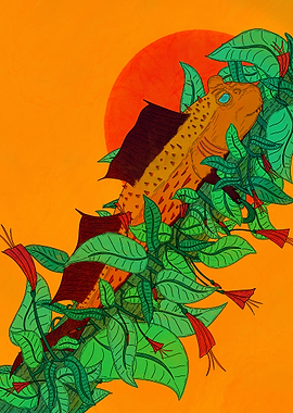 Gas Venfunna Tree Blenny