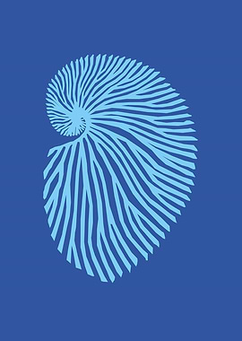 Underwater Sea Coral