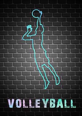 Volleyball Sport