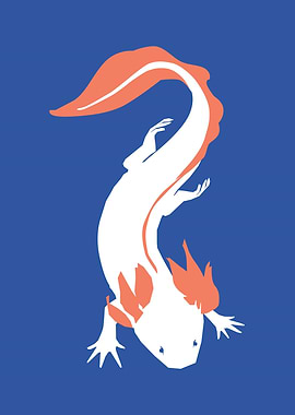 Axolotl care Sea animals