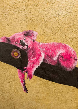 Pink Koala