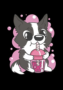 Border collie dog bubble