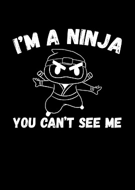 You cant see the ninja