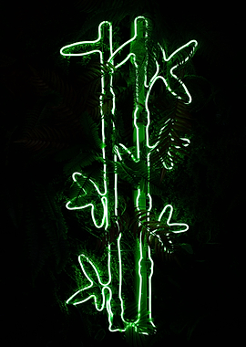Bamboo Neon Lights