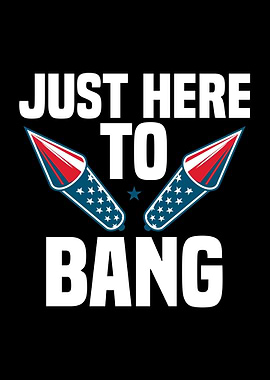 Fireworks Humor America