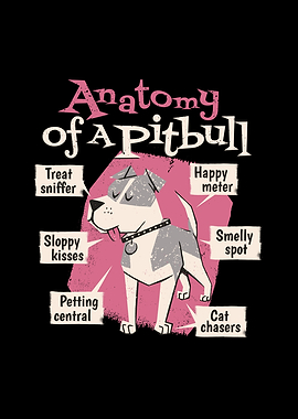 Anatomy Pitbull