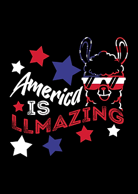 USA Llama 4th July