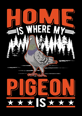 Home Is Where My Pigeon Fa