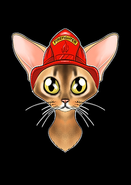 Firefighter Abyssinian Cat