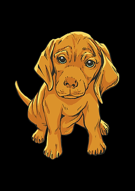 Cute puppy dog animal