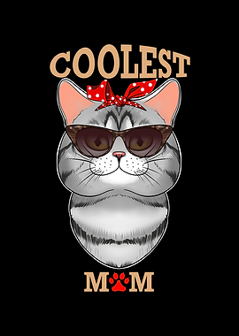 American Shorthair Cat