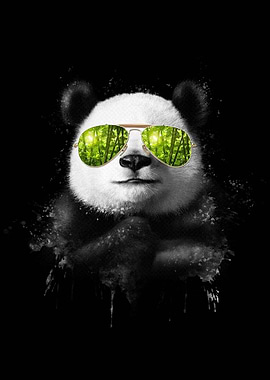 Cool Panda