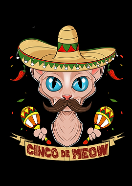 Cinco de Mayo Sphynx Cat