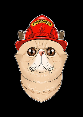 Exotic Shorthair Cat