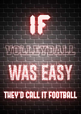 Volleyball Quotes Sport