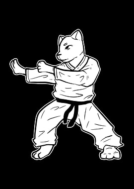 Karate Cat