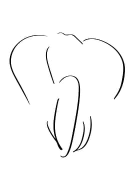 Elephant Line Art Minimal