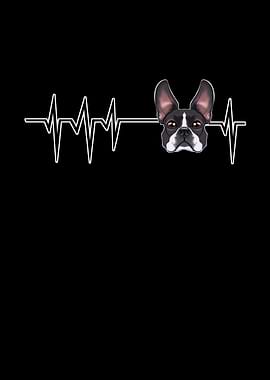Heartbeat Boston Terrier