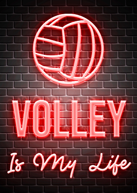 Volleyball Quotes Sport