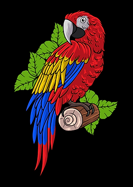 Parrot