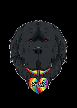 Newfoundland LGBTQ Flag