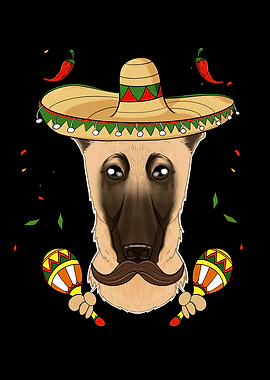 Cinco De Mayo Malinois