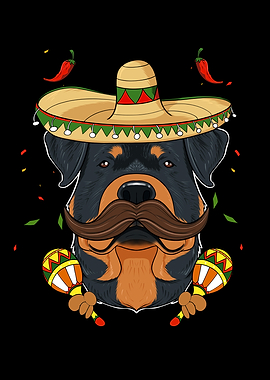 Cinco De Mayo Rottweiler