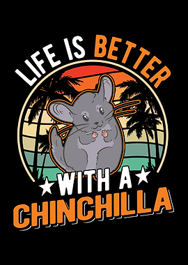 Chinchilla