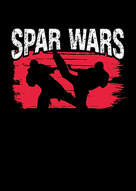 Spar wars martial arts
