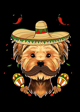 Yorkshire Terrier Yorkie