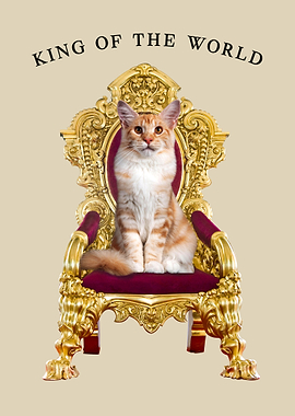 Cat the King of the World