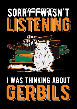 Gerbil Racing Rat Gerbil