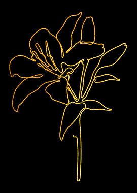 One Line Flower 9