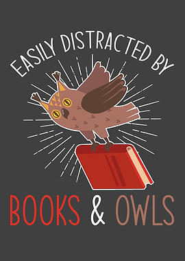 Read Owl Book Gift