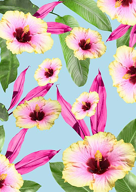 Flowery Hibiscus Dream 1