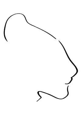 Lioness Line Art Minimal