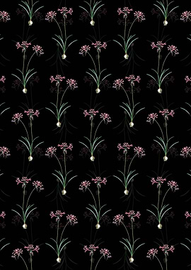 Floral Nerine Pattern