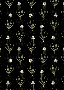 Arabian Starflower Pattern